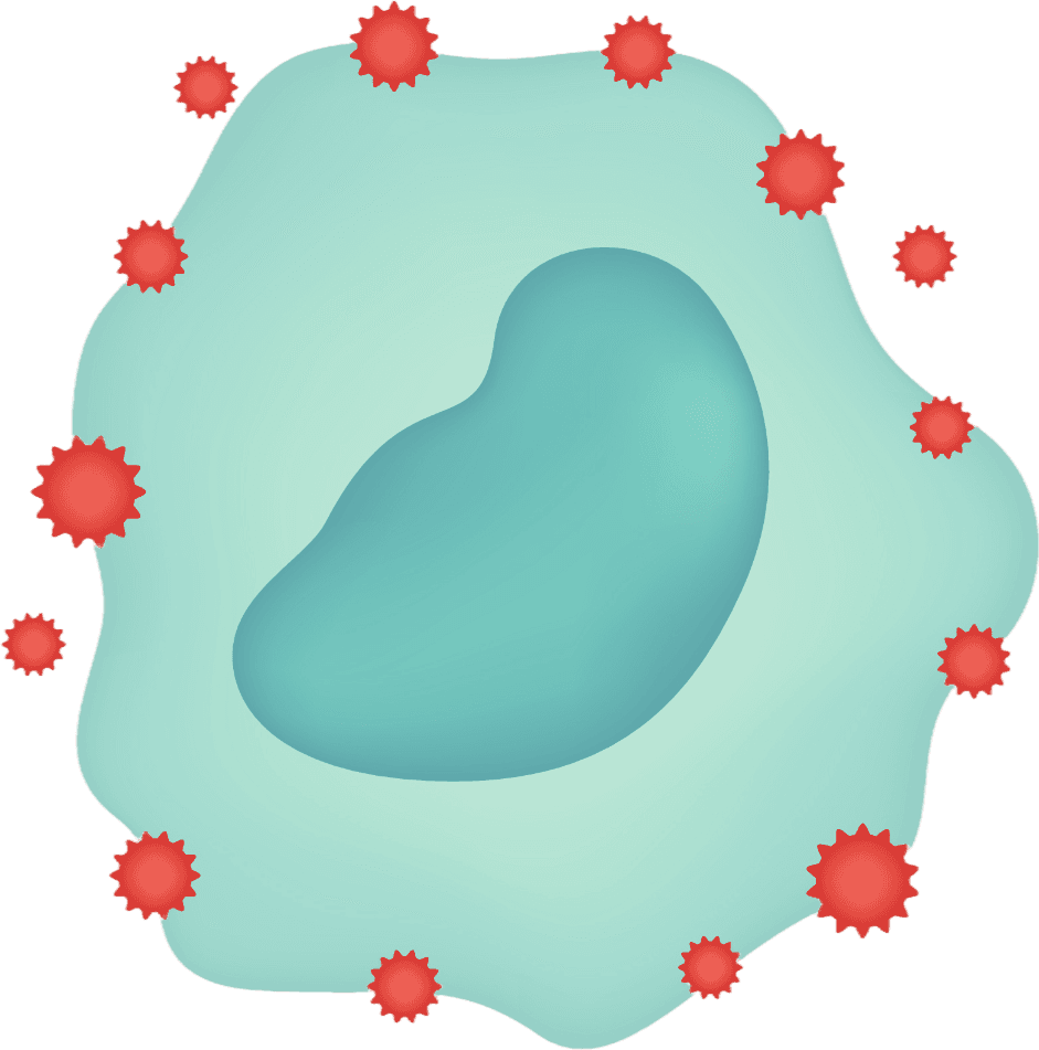 Illustration of a cell surrounded by free radicals